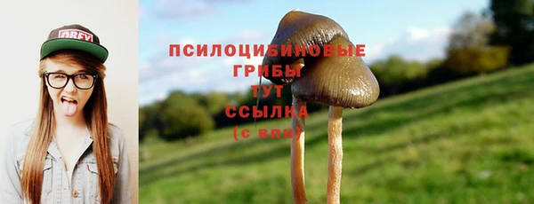 а пвп мука Нягань