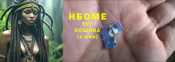 индика Нязепетровск