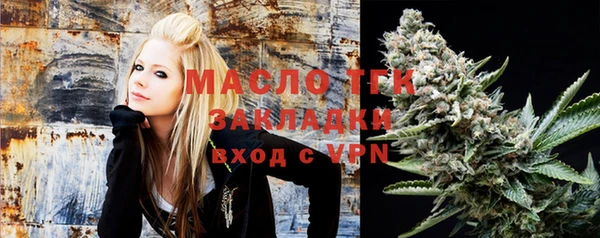 индика Нязепетровск