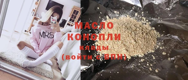индика Нязепетровск