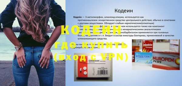 бошки Няндома