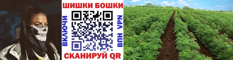 как найти закладки  Болхов  Конопля SATIVA & INDICA 